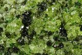Peridot Crystals in Basalt - Arizona #368610-1